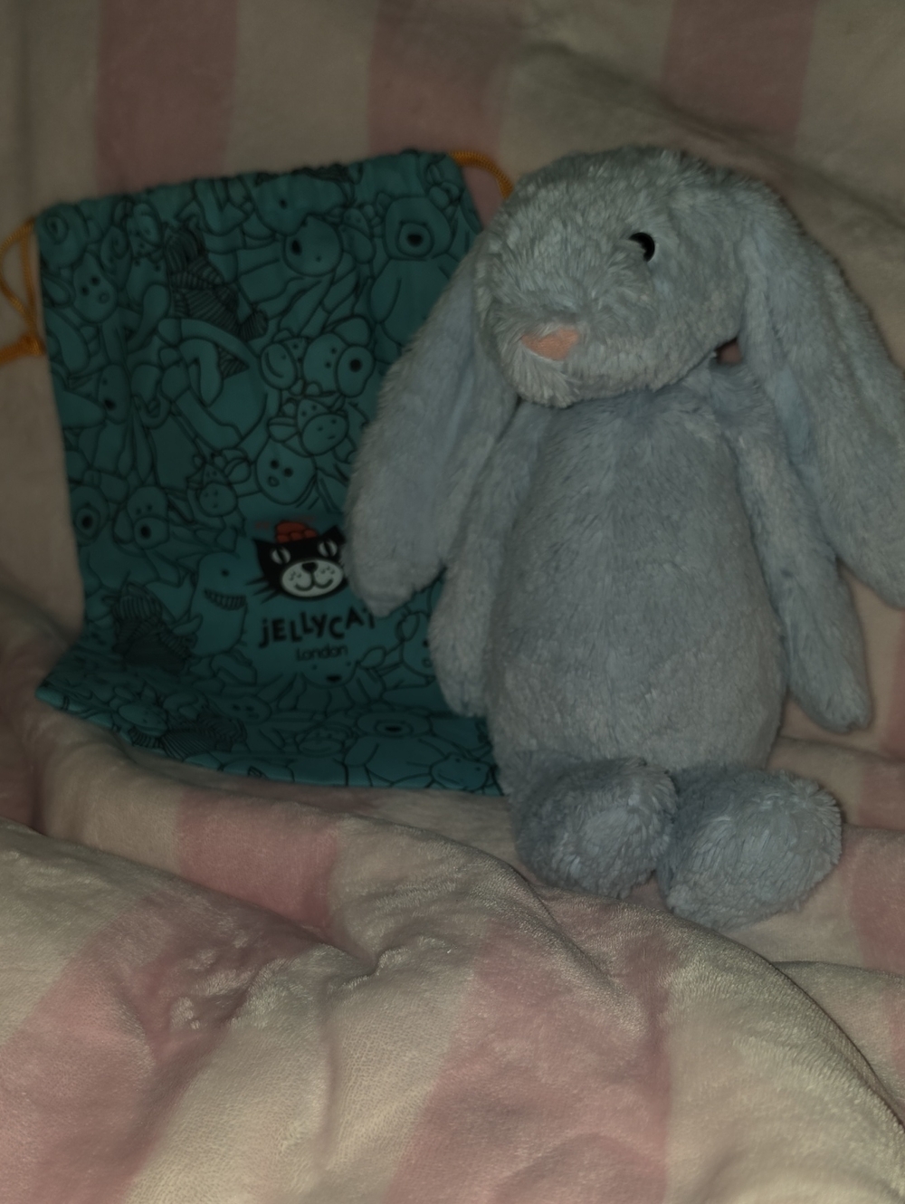Bashful Blue Bunny Medium Jellycat